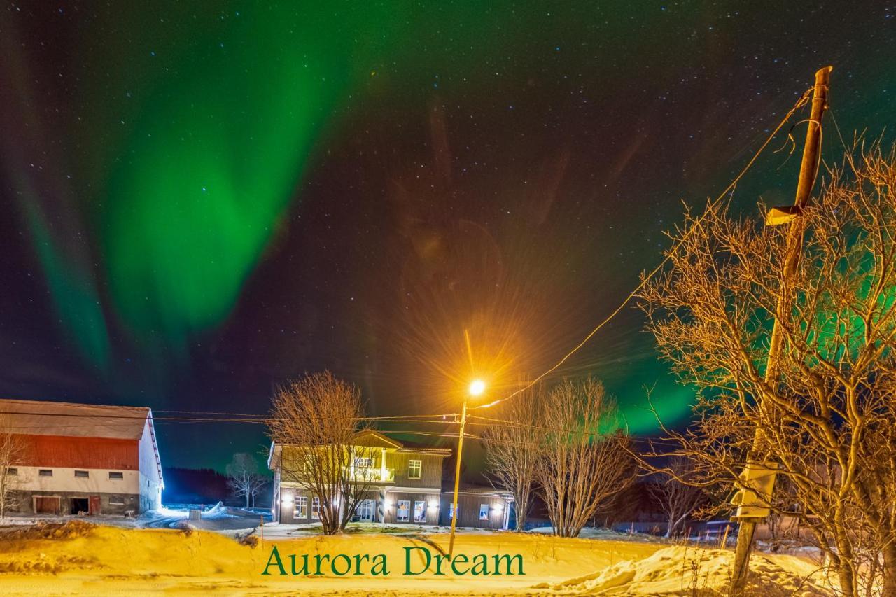 Апартаменты Aurora Dream Svensby Экстерьер фото